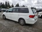 2009 Honda Odyssey EXL