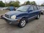 2006 Hyundai Santa FE GLS