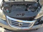 2008 Honda Odyssey EXL