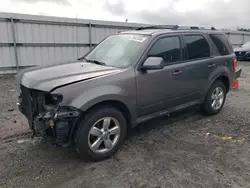 Ford salvage cars for sale: 2012 Ford Escape Limited