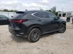 2024 Lexus NX 250 Premium