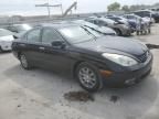 2004 Lexus ES 330