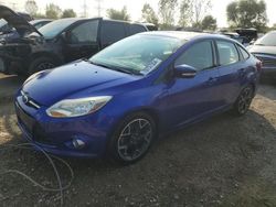 Salvage cars for sale at Elgin, IL auction: 2014 Ford Focus SE