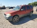 2006 Ford Escape XLS