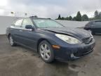 2005 Lexus ES 330