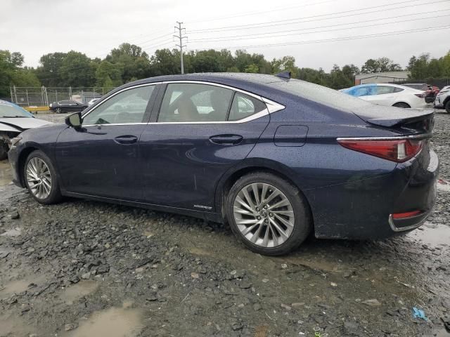 2019 Lexus ES 300H