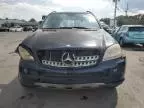 2007 Mercedes-Benz ML 500