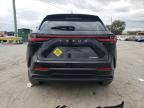 2024 Lexus NX 250 Base