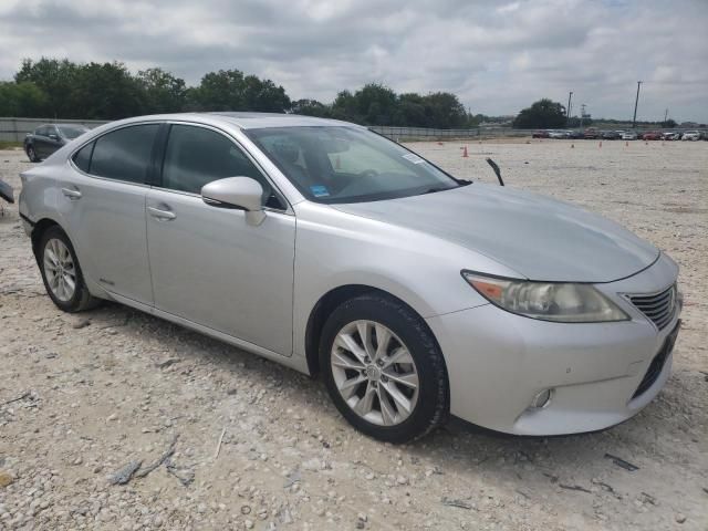 2013 Lexus ES 300H