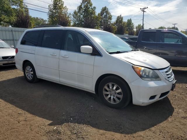 2010 Honda Odyssey EXL