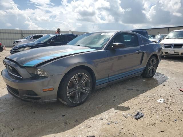 2013 Ford Mustang