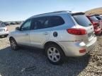 2007 Hyundai Santa FE SE