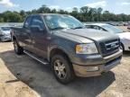 2005 Ford F150