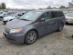 Honda salvage cars for sale: 2013 Honda Odyssey EXL