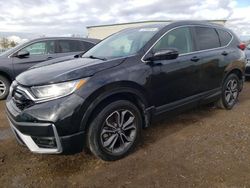 Clean Title Cars for sale at auction: 2020 Honda CR-V EXL