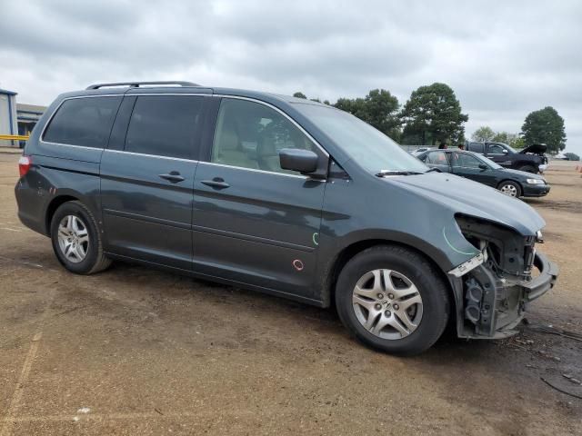 2005 Honda Odyssey EXL