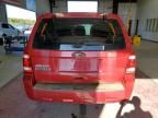 2011 Ford Escape XLS