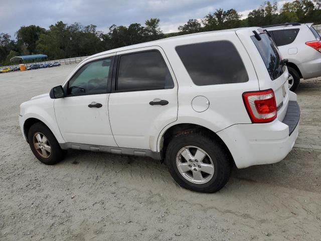 2009 Ford Escape XLS