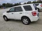 2009 Ford Escape XLS