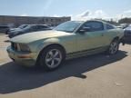 2005 Ford Mustang