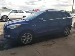 Salvage cars for sale at Dyer, IN auction: 2013 Ford Escape SEL