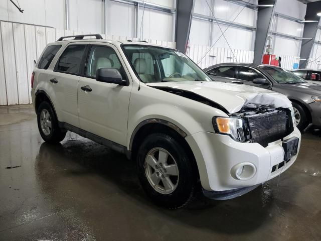 2009 Ford Escape XLT