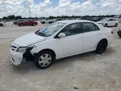 Salvage cars for sale at Arcadia, FL auction: 2011 Toyota Corolla Base