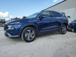 Salvage cars for sale at Tifton, GA auction: 2023 Hyundai Santa FE SEL