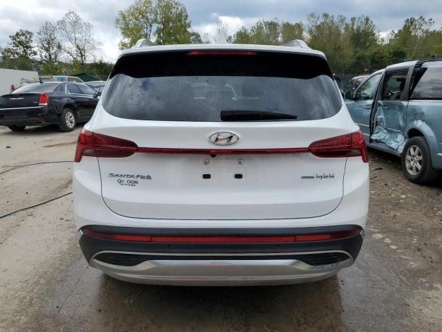 2023 Hyundai Santa FE SEL Premium