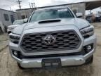 2023 Toyota Tacoma Double Cab