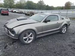 Ford salvage cars for sale: 2008 Ford Mustang GT