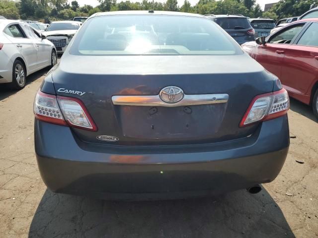 2010 Toyota Camry Hybrid