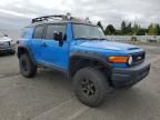 2007 Toyota FJ Cruiser