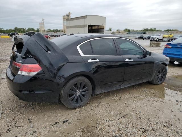 2011 Honda Accord EXL