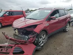 Salvage cars for sale at Indianapolis, IN auction: 2016 Ford Escape Titanium