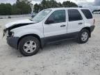 2004 Ford Escape XLT