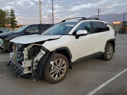 Toyota rav4 xle Premium salvage cars for sale: 2023 Toyota Rav4 XLE Premium