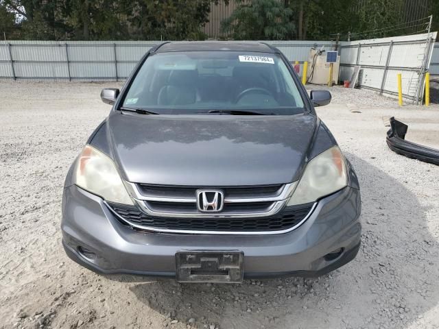 2010 Honda CR-V EXL