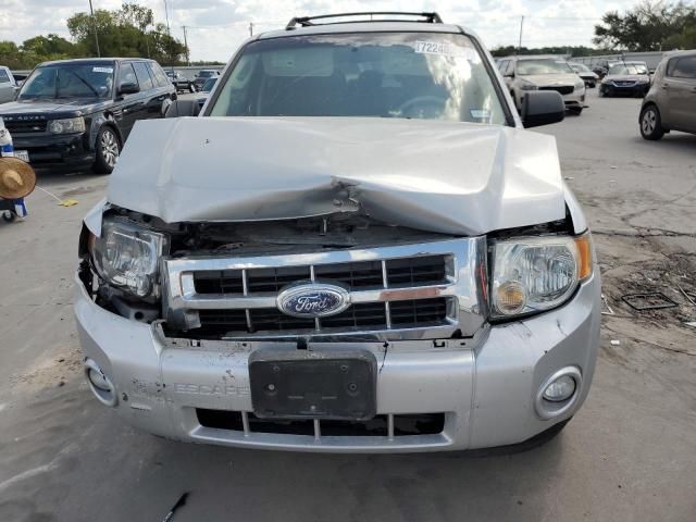 2009 Ford Escape XLT