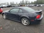 2004 Ford Mustang