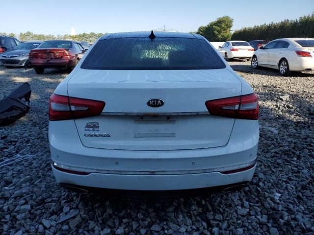 2014 KIA Cadenza Premium