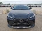 2024 Lexus NX 350 Luxury