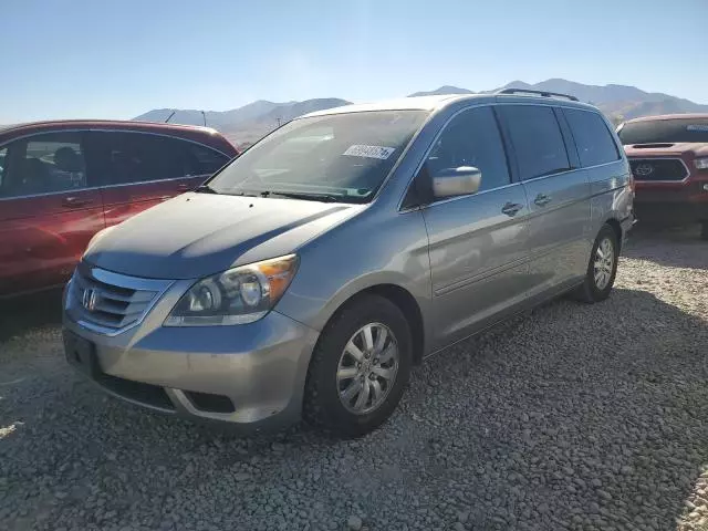 2010 Honda Odyssey EXL