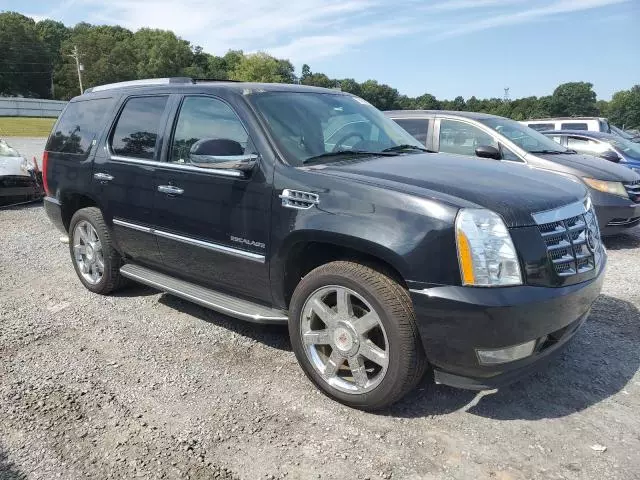 2010 Cadillac Escalade Hybrid