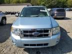 2008 Ford Escape HEV