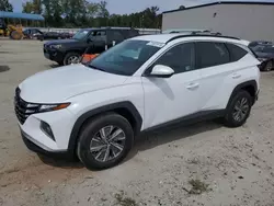 Salvage cars for sale at Spartanburg, SC auction: 2024 Hyundai Tucson Blue