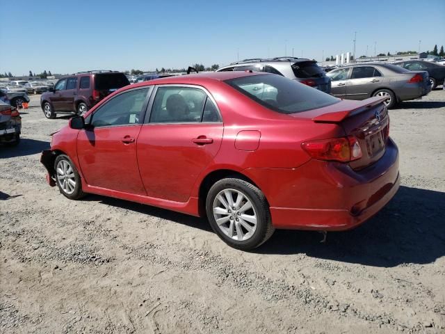 2010 Toyota Corolla Base