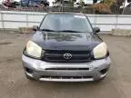 2004 Toyota Rav4