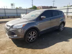 Salvage cars for sale at Chicago Heights, IL auction: 2013 Ford Escape SEL