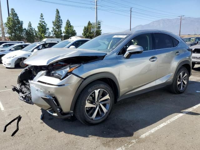 2021 Lexus NX 300H Base